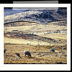 ayacucho_1_057