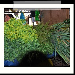 ayacucho_2_028