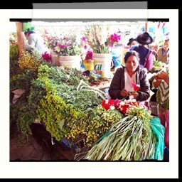 ayacucho_2_029