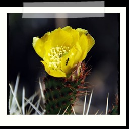 ayacucho_2_097