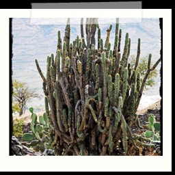 ayacucho_2_099