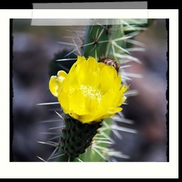 ayacucho_2_101
