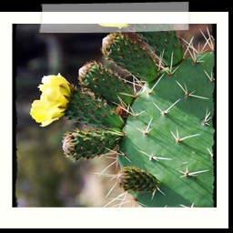 ayacucho_2_105