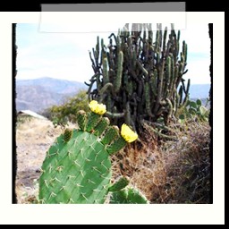 ayacucho_2_106
