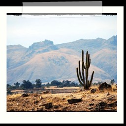 ayacucho_2_116