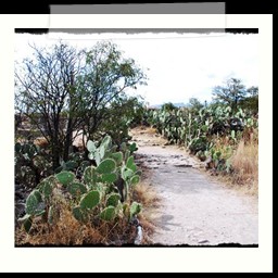 ayacucho_2_120