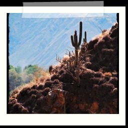 andahuaylas_DSC_3749