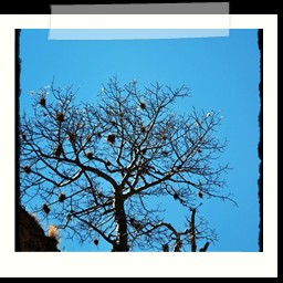 andahuaylas_DSC_3755
