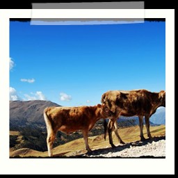 andahuaylas_DSC_3765