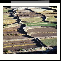 canyon_colca_004