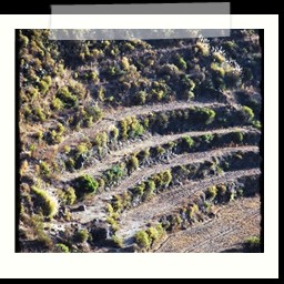 canyon_colca_006