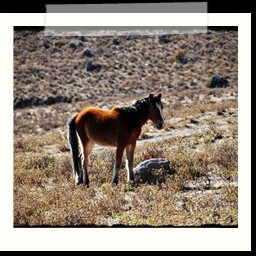 canyon_colca_035