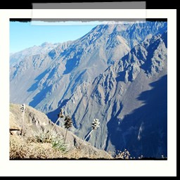 canyon_colca_041