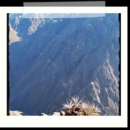 canyon_colca_042