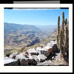 canyon_colca_164