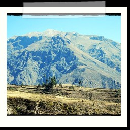 canyon_colca_179