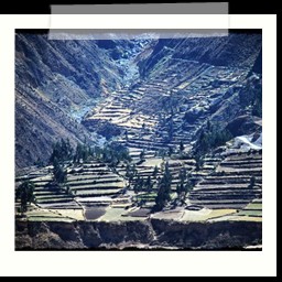 canyon_colca_181