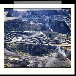 canyon_colca_182