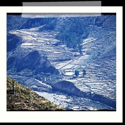 canyon_colca_184