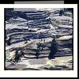 canyon_colca_187