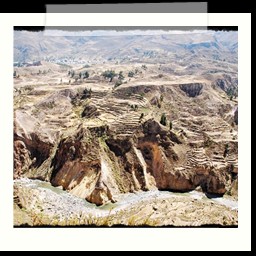 canyon_colca_231