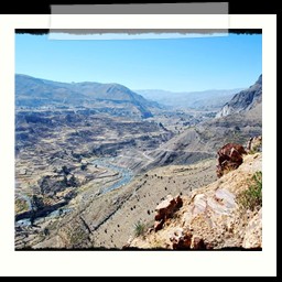 canyon_colca_254