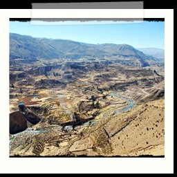 canyon_colca_259