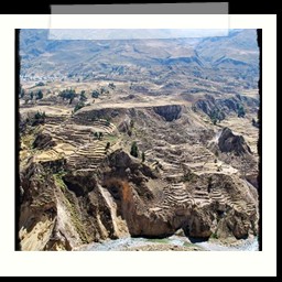 canyon_colca_264