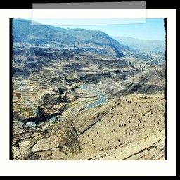 canyon_colca_267