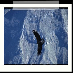 cruz_del_condor_022