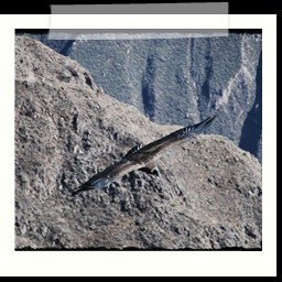 cruz_del_condor_032