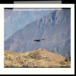 cruz_del_condor_037