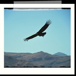 cruz_del_condor_055