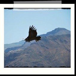 cruz_del_condor_056