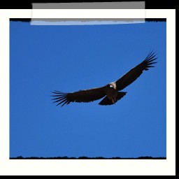 cruz_del_condor_063