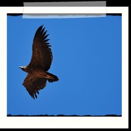 cruz_del_condor_066