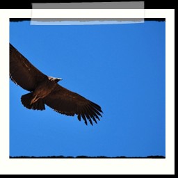 cruz_del_condor_068