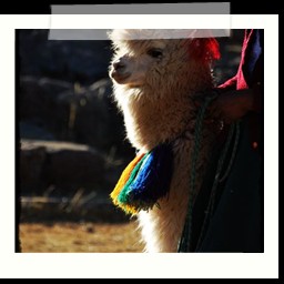cusco_1_115