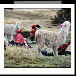 cusco_1_135