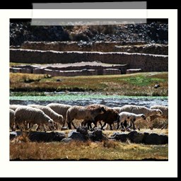 cusco_puno_014