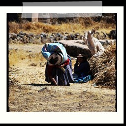 cusco_puno_030