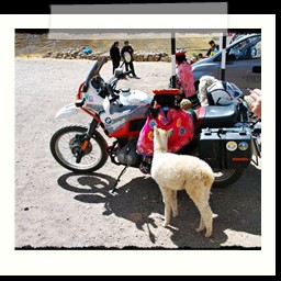 cusco_puno_053