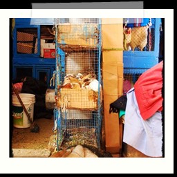 huancayo_045