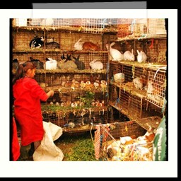 huancayo_059