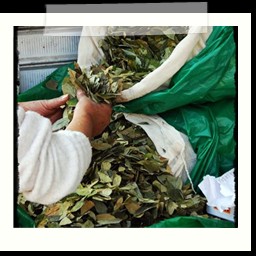 huancayo_065
