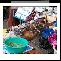 huancayo_087