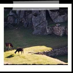 machu_picchu_098