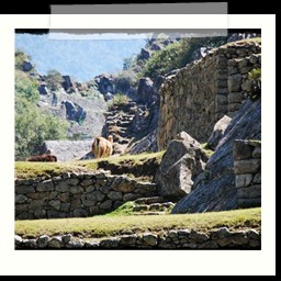 machu_picchu_270