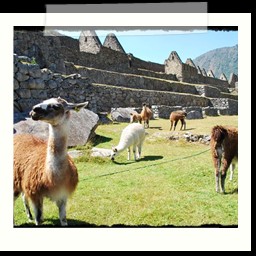 machu_picchu_284