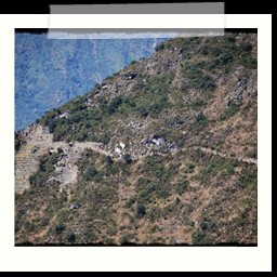 machu_picchu_318